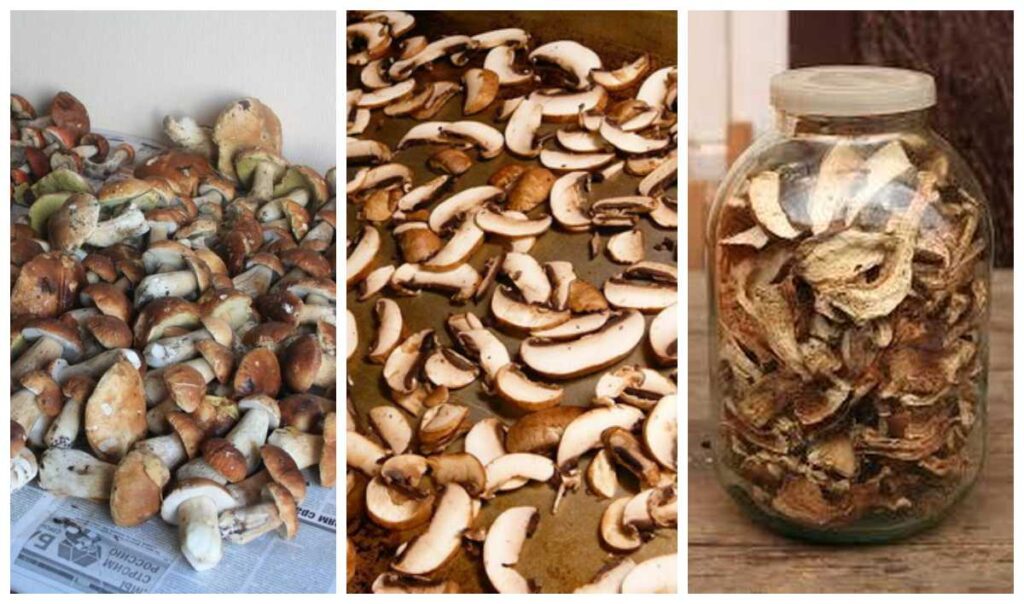 сушені білі гриби