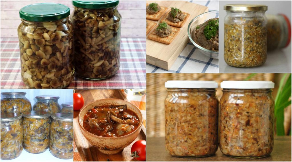 рецепти опеньків