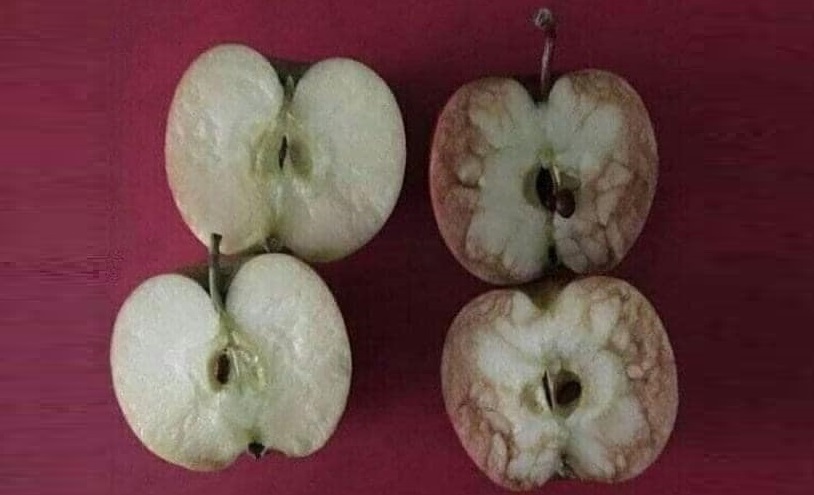 два яблука