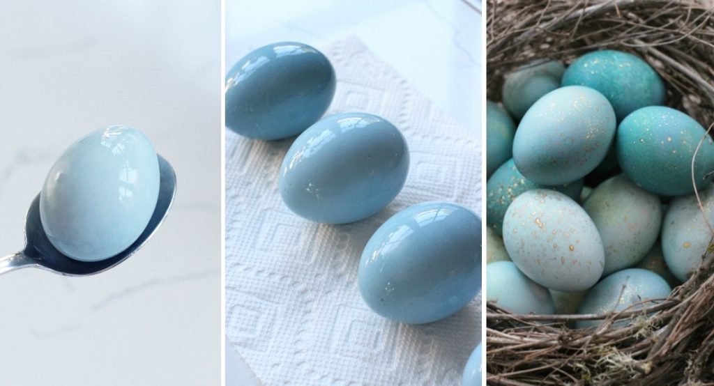 блакитні крашанки