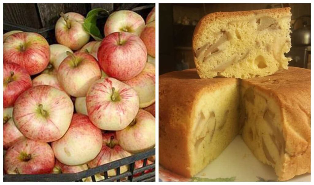 шарлотка з яблуками