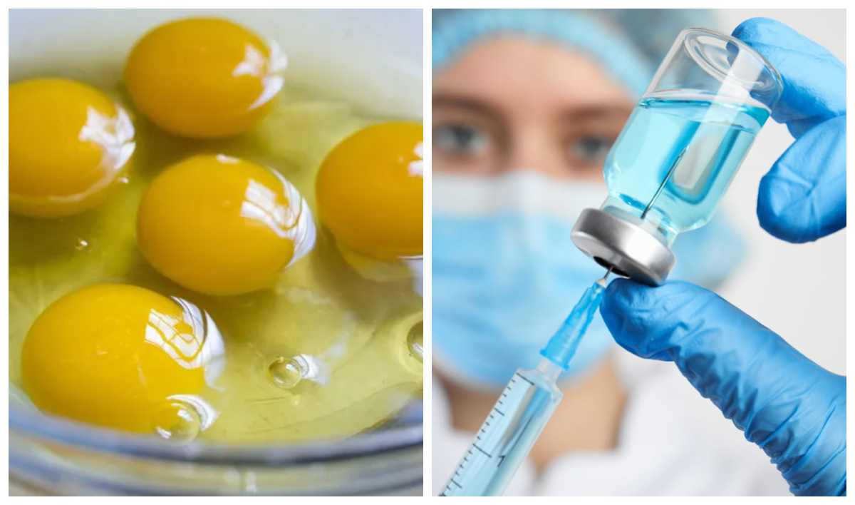 алергія на яйця і вакцинація