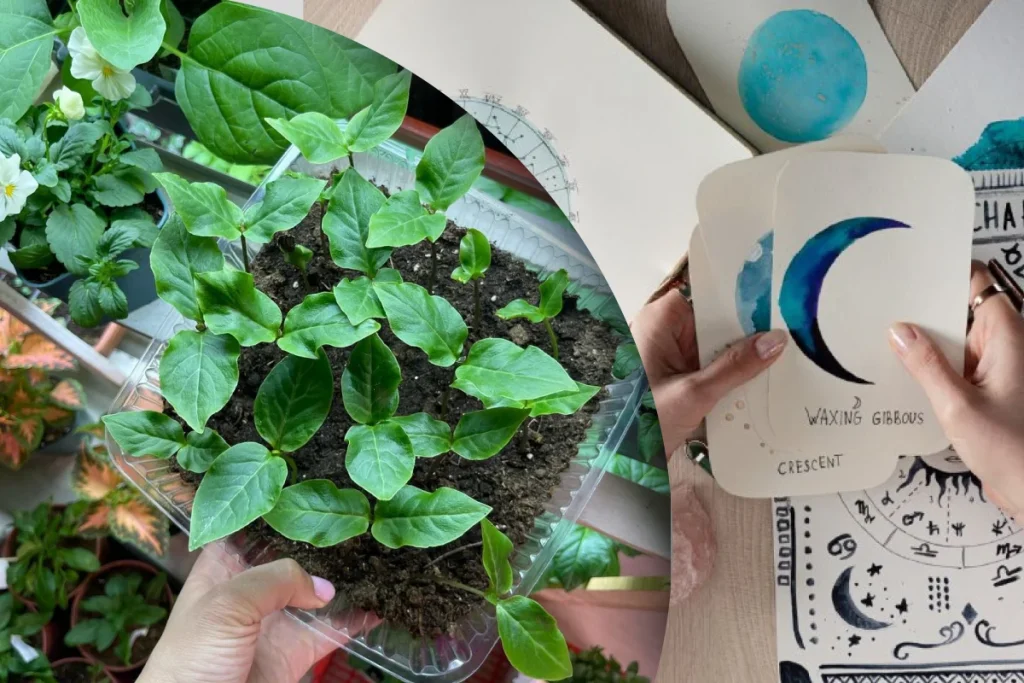 Місячний посівний календар