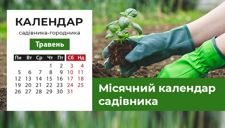 Календар робіт у саду та городі на травень 2025 року