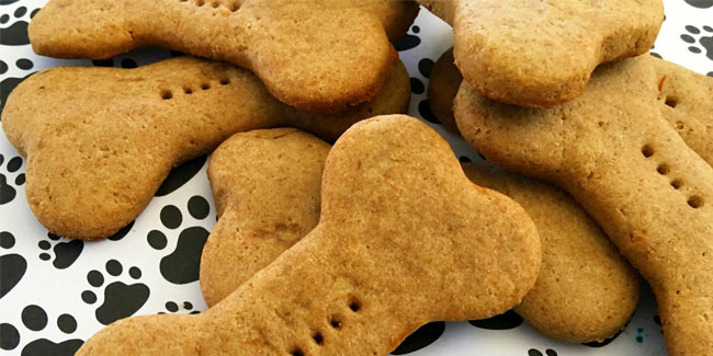 Ласощі для котів і собак своїми руками