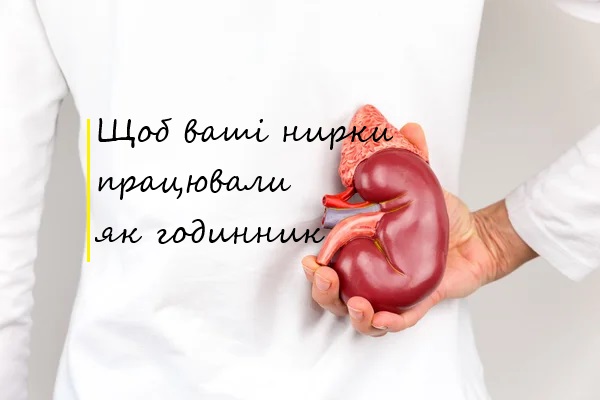 нирки