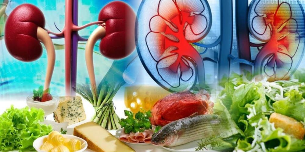 Продукти, корисні для здоров’я нирок