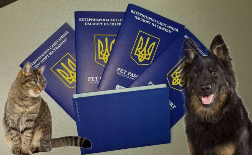 Паспорт для домашнього улюбленця
