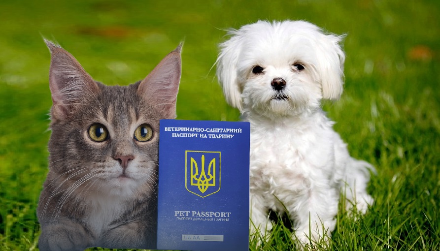 Ветеринарно-санітарний паспорт
