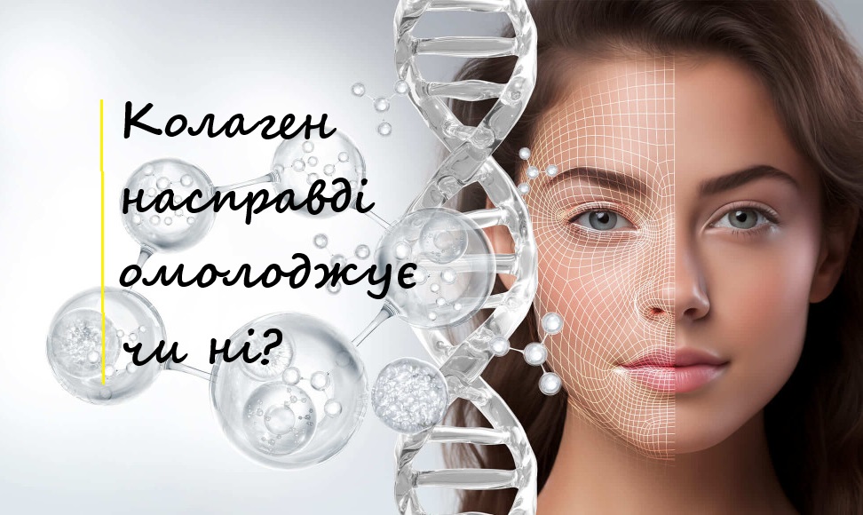 колаен