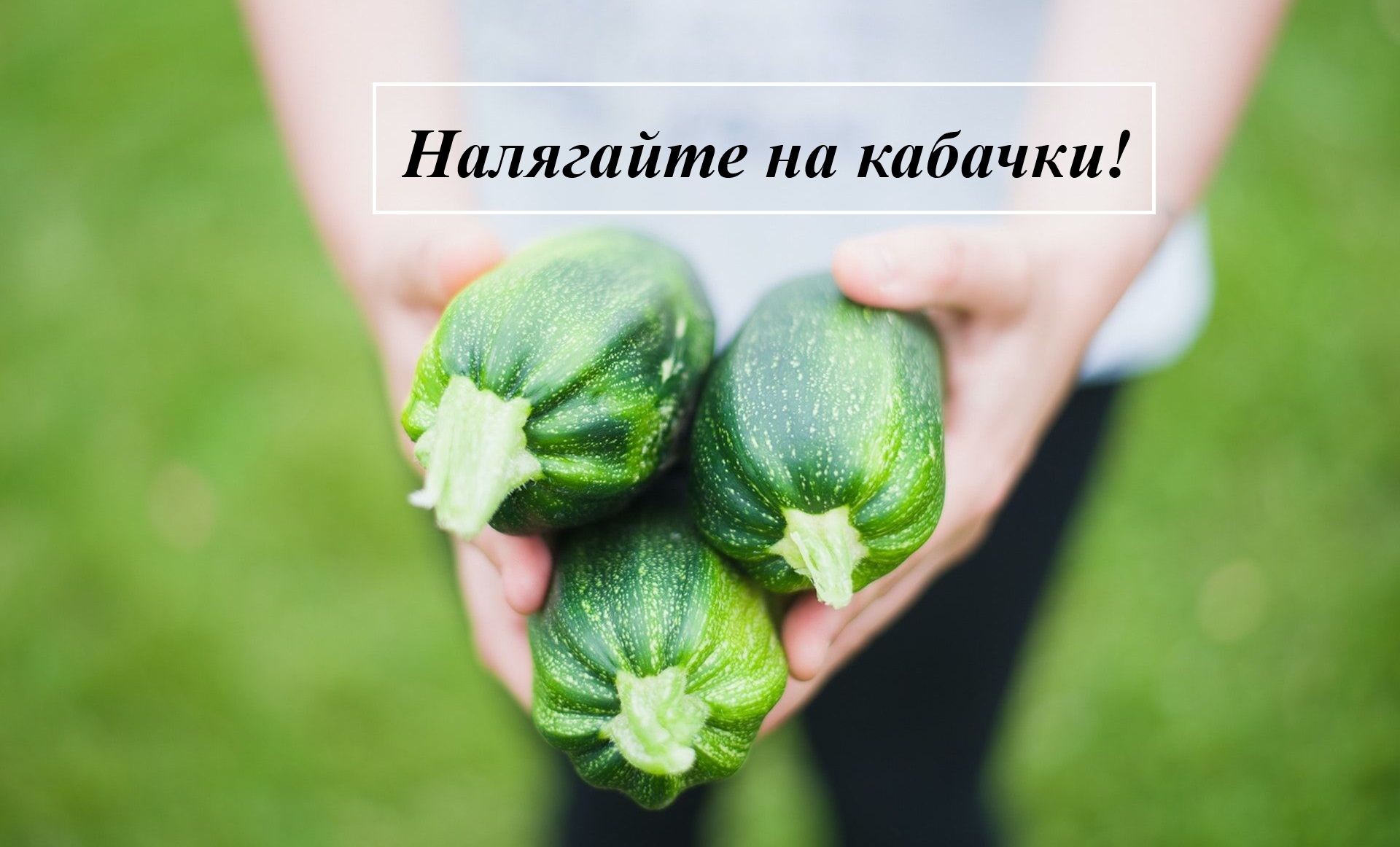 кабачки