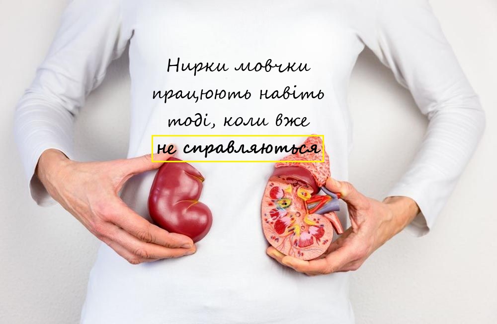 нирки