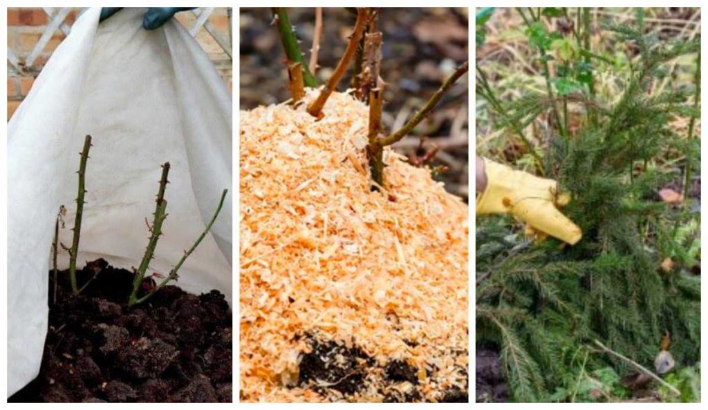 вкрити троянди