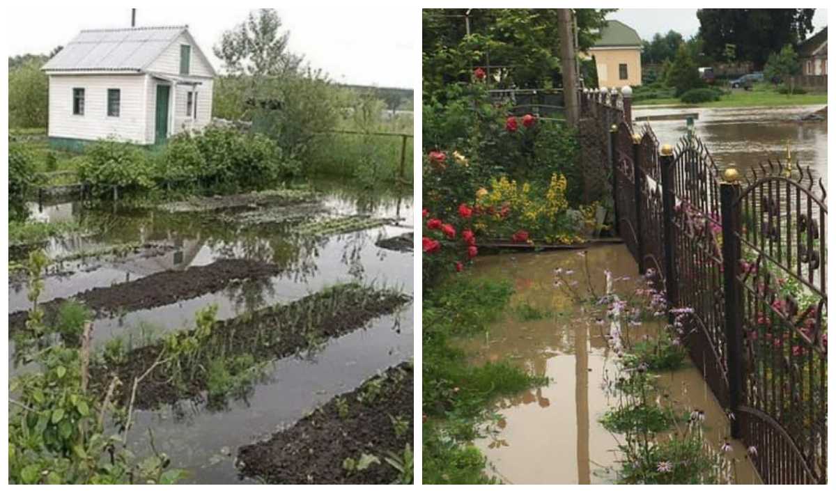вода на ділянці