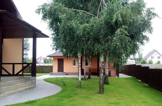 Дерева біля дому