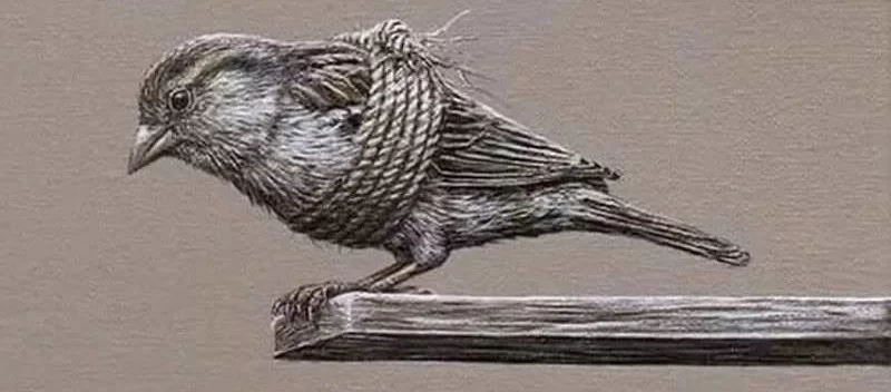 Завчена безпорадність