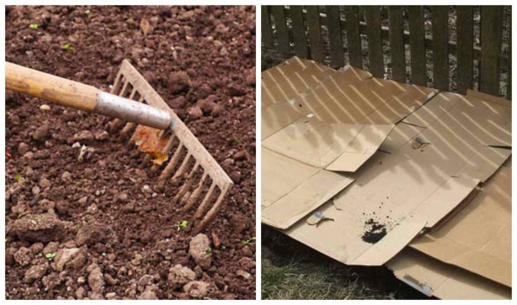 город у листопаді