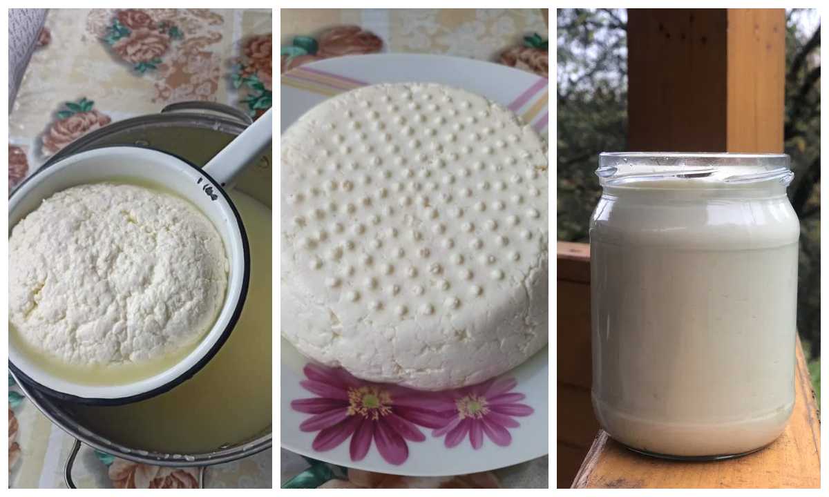 буц бринза бриндзя