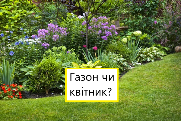 газон чи квітник