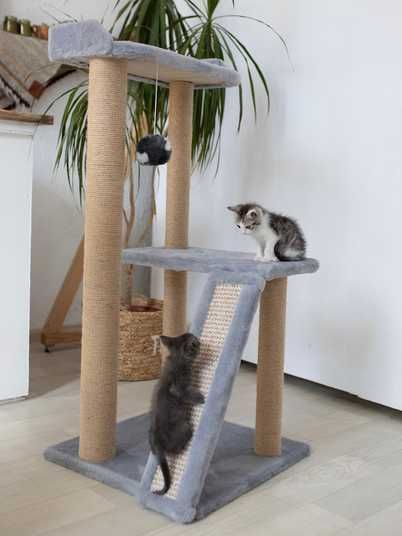 Кігтеточка для кота