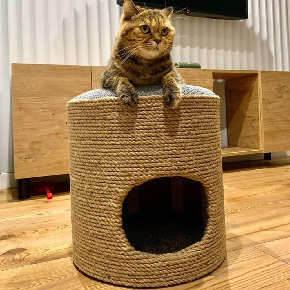 Кігтеточка для кота