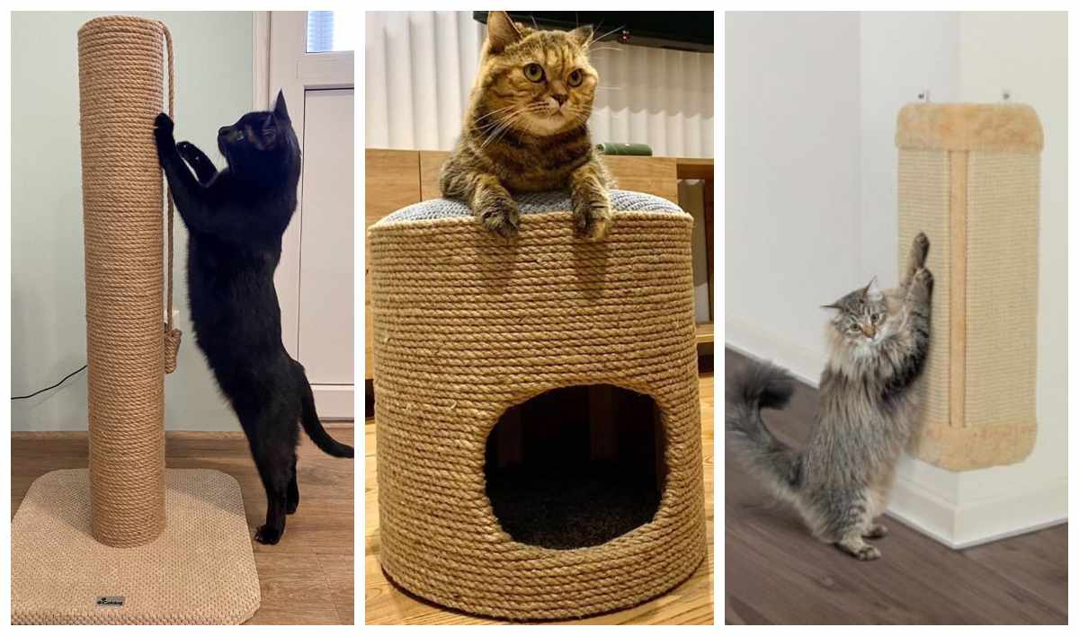 кігтеточка