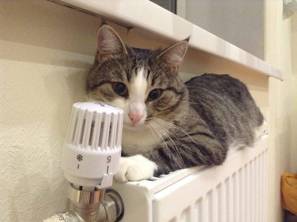 Як зберегти тепло