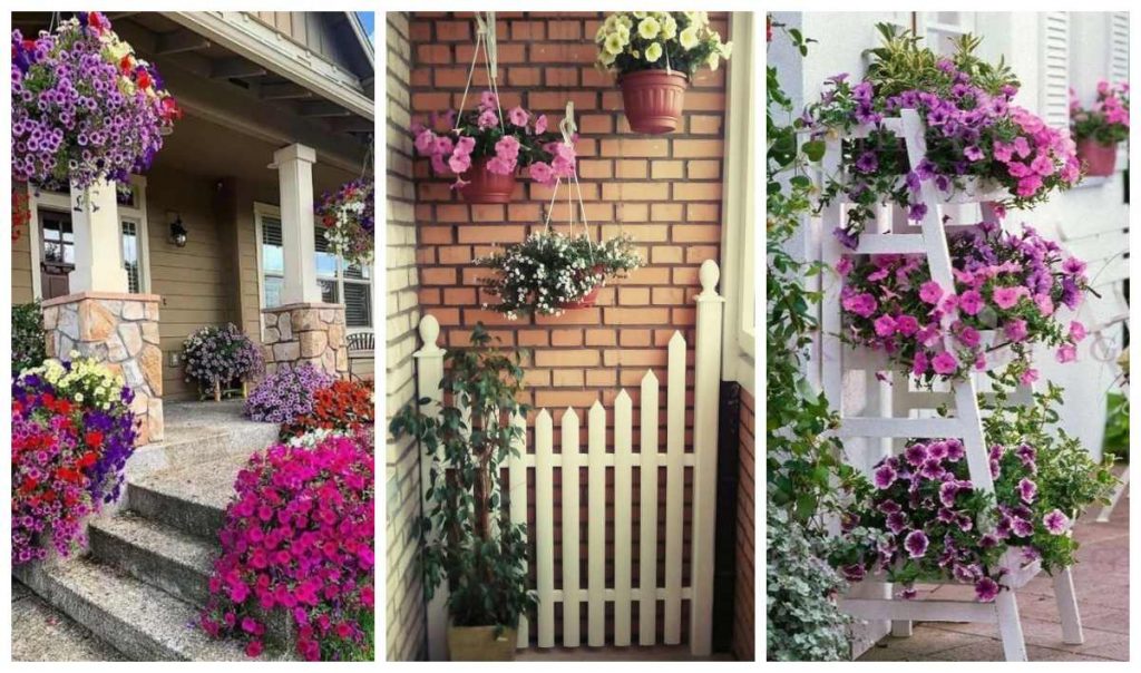 Рослини в контейнерах для прикраси будинку