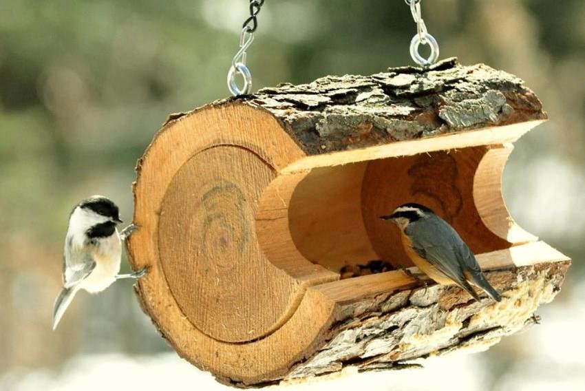 Годівничка для птахів