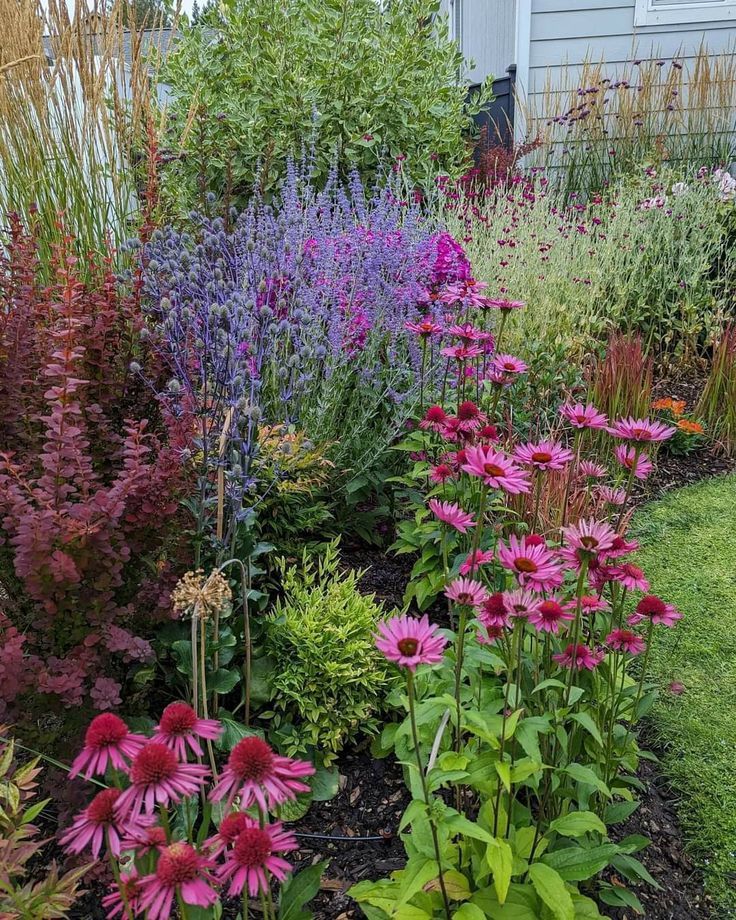 Сенсорний сад