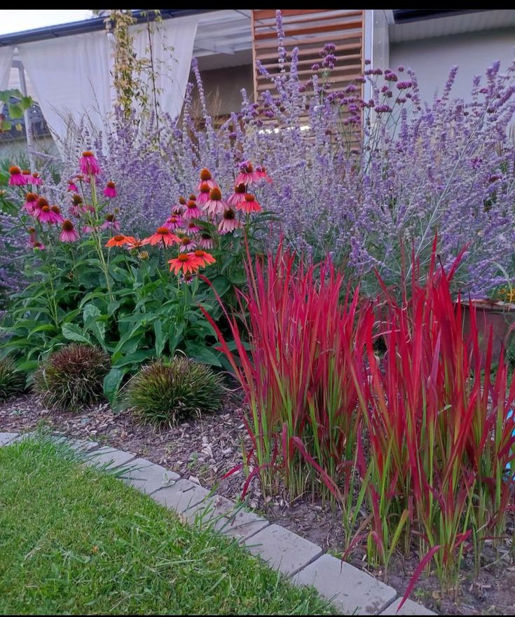 Сенсорний сад