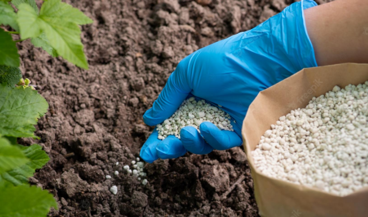 Мінеральні добрива