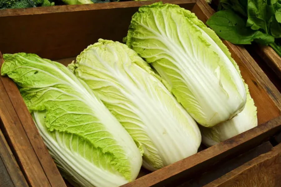 Пекінська капуста