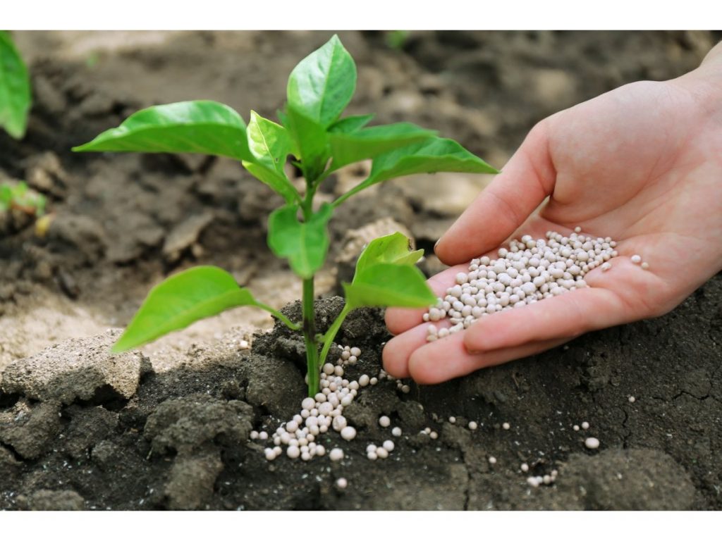 Мінеральні добрива