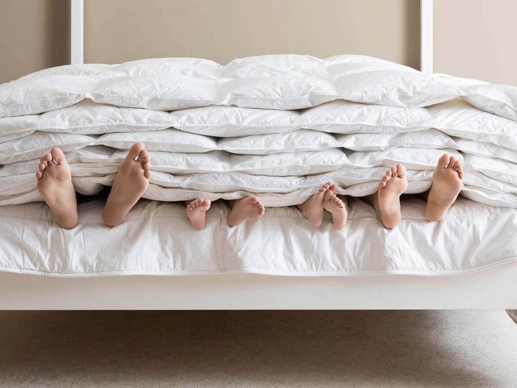 Яка ковдра найтепліша