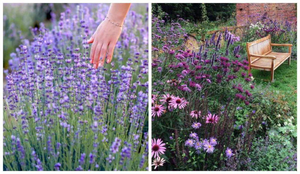 Сенсорний сад