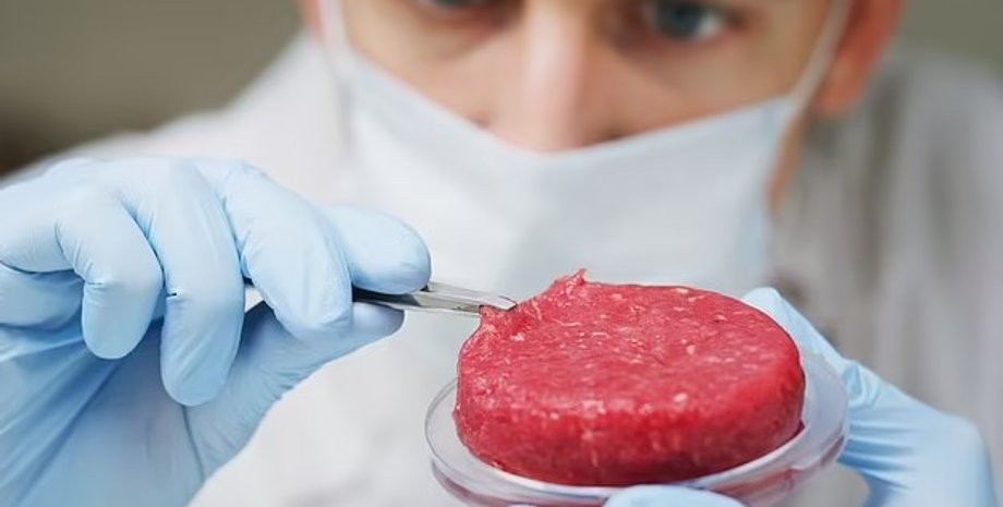 Рослинні замінники м'яса