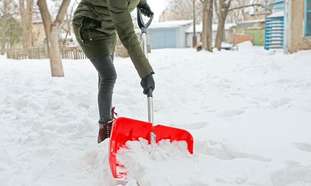 Сніг у саду