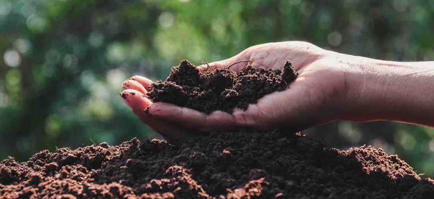 Дезінфекція грунту 