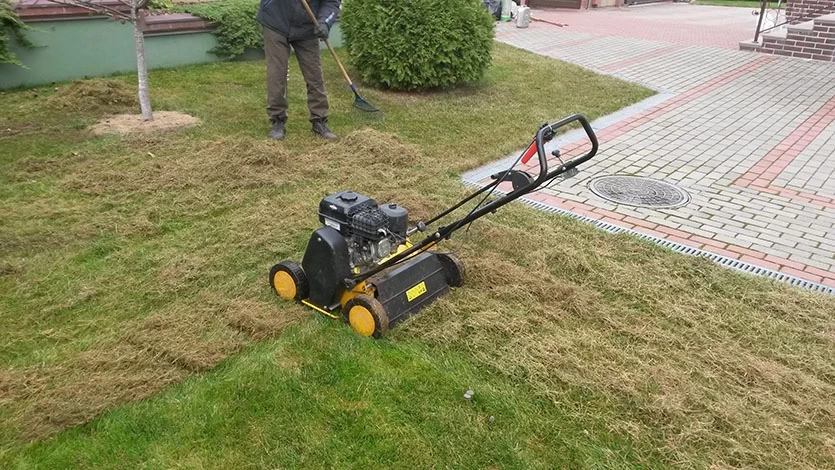 Скарифікація газону