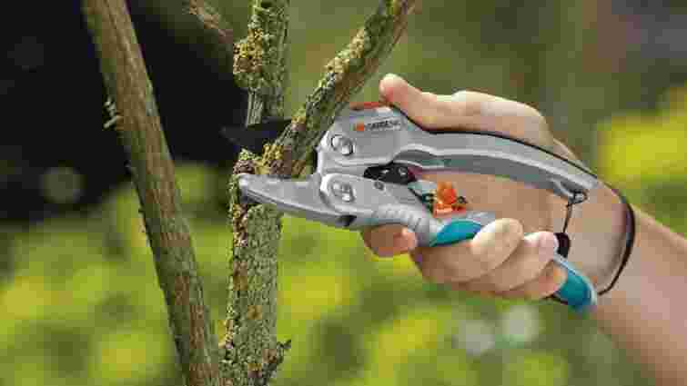 Весняна обрізка