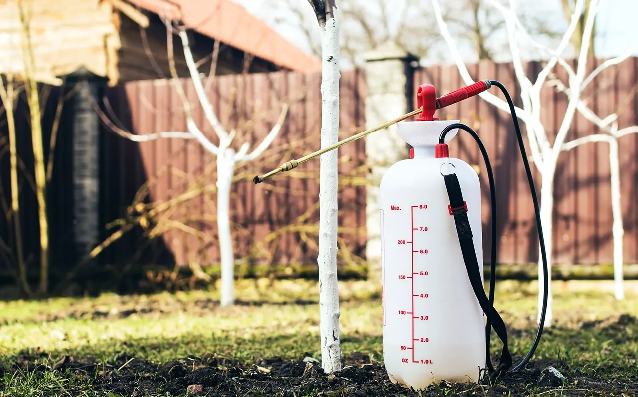 Перше обприскування саду