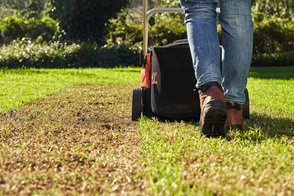 Скарифікація газону