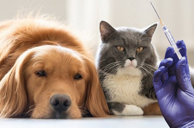 вакцинація