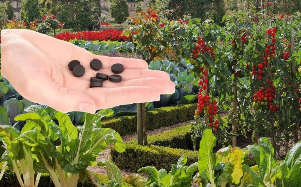 Активоване вугілля для саду і городу