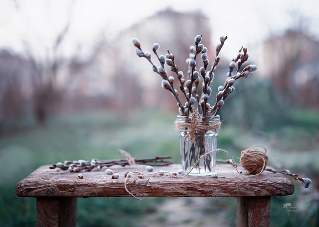 Вербна неділя