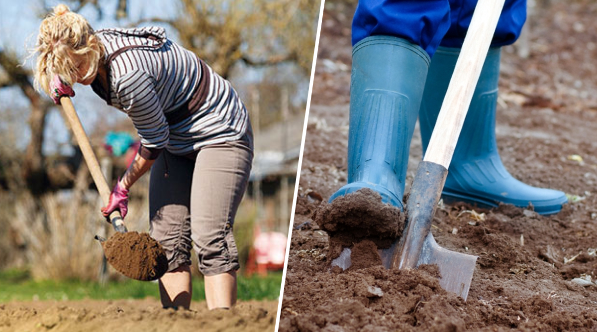 перекопувати грядки