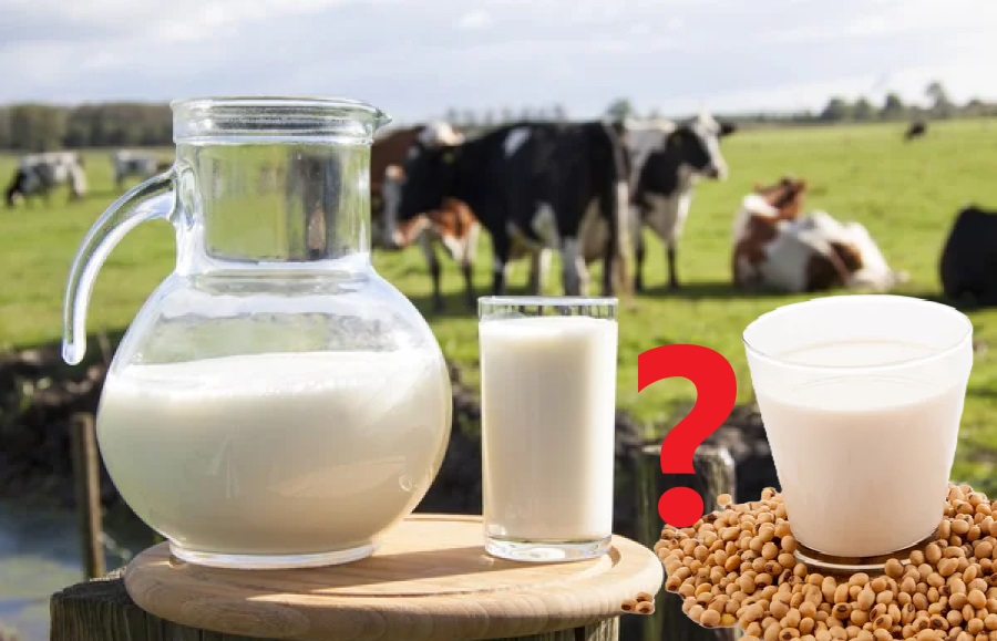 молоко і рослинне молоко