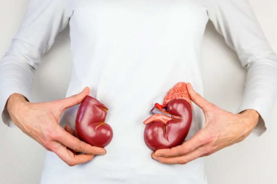 Обстеження при сечокам'яній хворобі