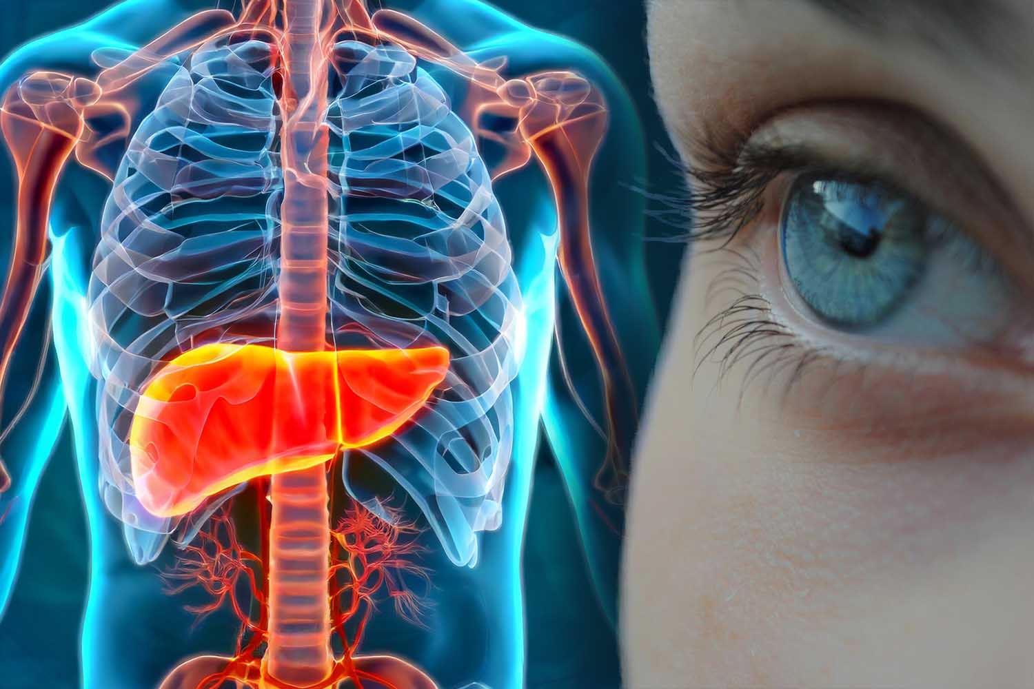 печінка і зір